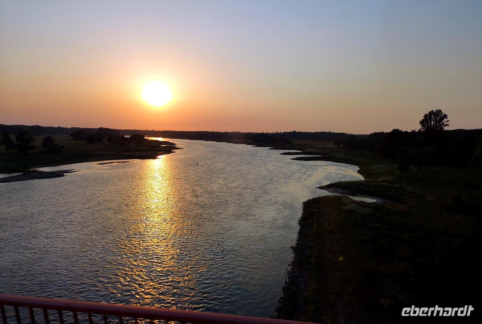 3182 Die Elbe bei Dessau im Sonnenuntergang