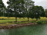 fahrt auf gotalandkanl (24)