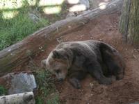 Skansen Freilichtmuseum Bären