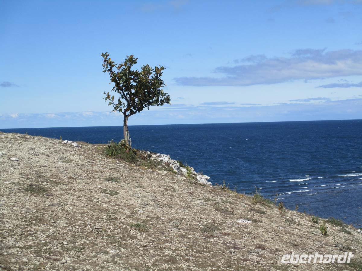 An der Südspitze Gotlands