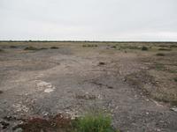 Im Alvaret auf Öland