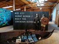 Wikingerdorf Birka