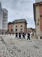 Königliches Schloss - Kleine Wachablösung