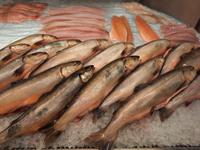 Östermalm - Saluhall