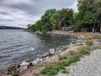 Ausflug in die Stockholmer Schären - Insel Fjäderholmarna 