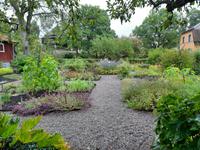 Freilichtmuseum Skansen - Kräutergarten 