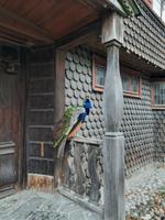 Freilichtmuseum Skansen