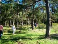 Gotlandrundfahrt, Gräberfeld
