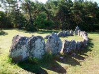 Djupvik, Schiffsetzung 