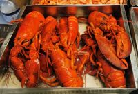 Hummer sind bei den Schweden ein beliebtes Mitsommeressen, Sulahalen Stockholm