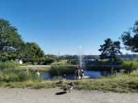 Idylle im Skansenpark