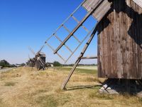 Windmühlen stehen dort, wo meist der Wind bläst