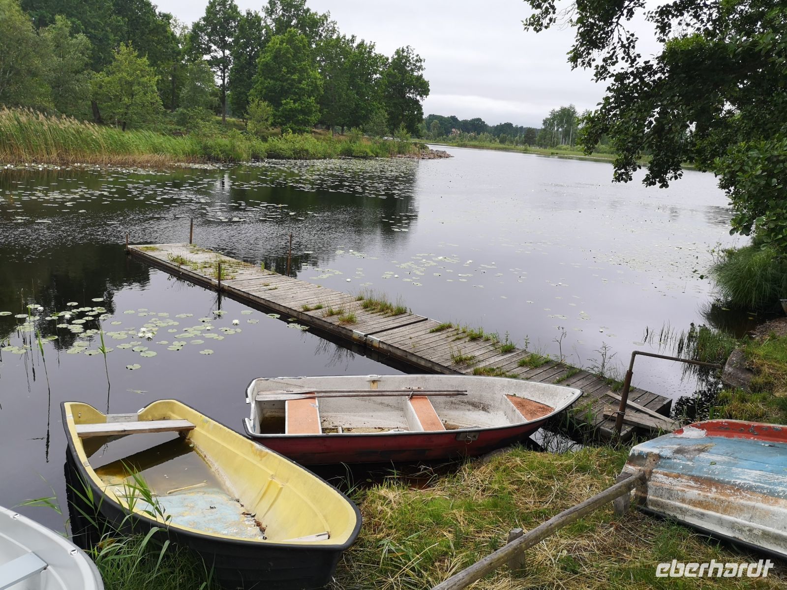 Stilleben im Glasland