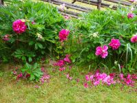 Åland: Im Freilichtmuseum Jan Karlsgaden