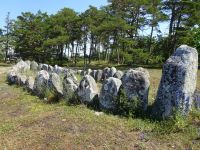 Gotland: Rundfahrt: Djupvik: Jungbronzezeitliche Schiffssetzung