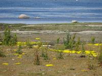 An der Südspitze Ölands