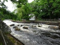 Mörrum: Lachstreppe