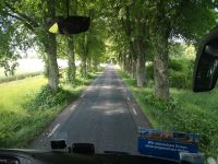 Durch schöne schmale Allee 