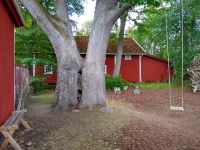 Eine Eiche als Limonadenbaum