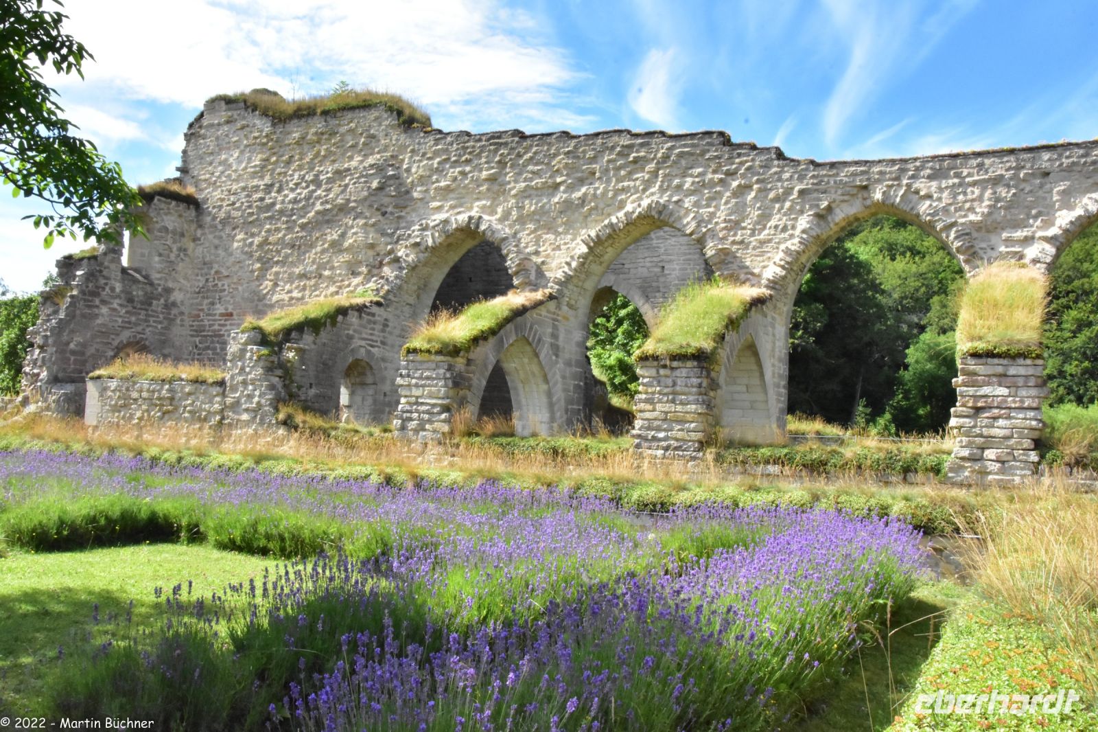 Alvastra Klosterruine