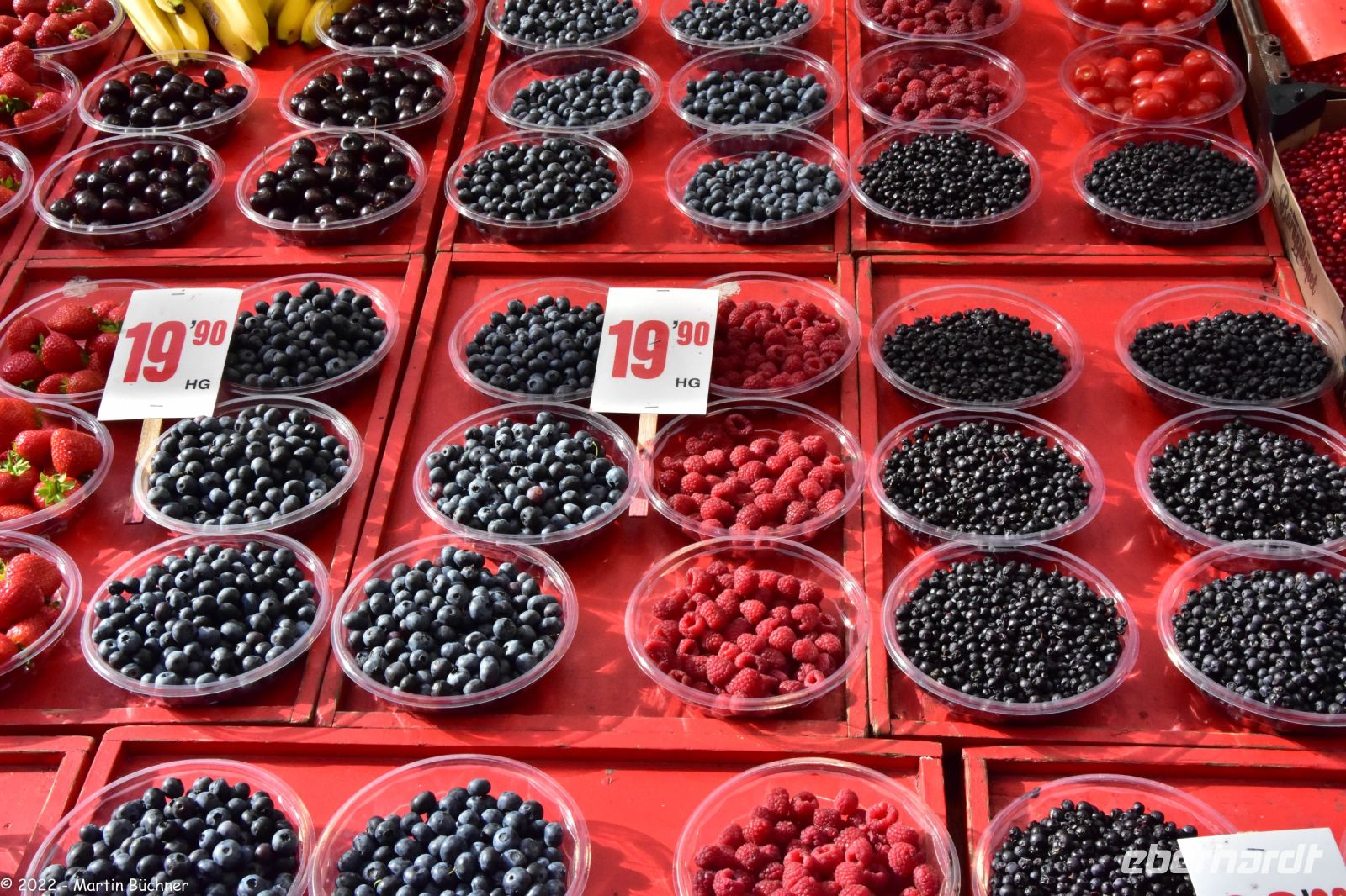 Nordische Beeren - links Rauschbeeren, Mitte Himmberen, rechts Waldheidelbeere