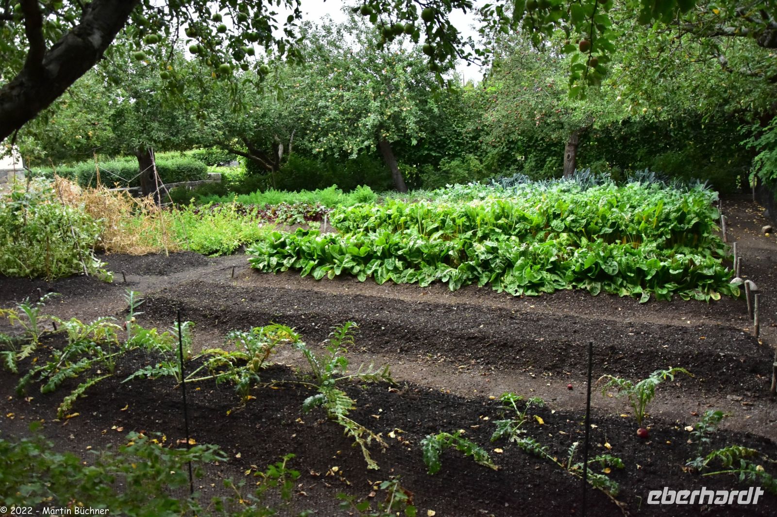Freilichtmuseum Skansen