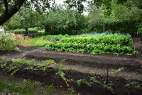 Freilichtmuseum Skansen