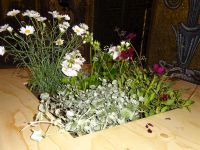 Stockholm: Rundgang: Stadthaus