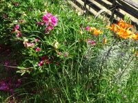 Åland: Im Freilichtmuseum Jan Karlsgaden