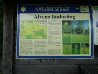 unterwegs mit Gunnar