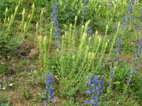 unterwegs mit Gunnar