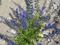 unterwegs mit Gunnar