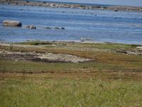 An der Südspitze Ölands: Ottenby