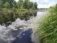 Seenlandschaft in Smaland