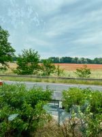 Blühende Landschaften entlang der Autobahn