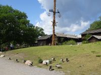 Stockholm: Freilichtmuseum Skansen