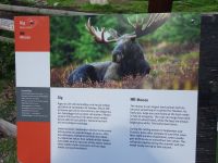 Stockholm: Freilichtmuseum Skansen