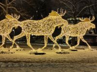 Abendrundgang in Stockholm