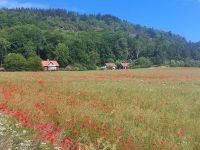 Schweden Rad 2024: Schweden im Sommer