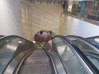 Schweden Rad 2024: Stockholm - Abstieg in die Pendeltåg