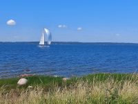 Schweden Rad 2024: Insel Øland - Der Spinaker ist gesetzt