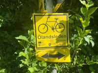 Schweden Rad 2024: Insel Øland - auf dem Øland- Radweg