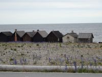 Rundfahrt: Farö: Helgumannen