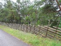 Gotland: Rundfahrt: Djupvik