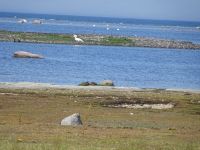 An der Südspitze Ölands: Ottenby