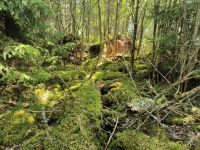 Schweden. Store Mosse Nationalpark