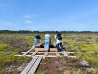 Schweden. Store Mosse Nationalpark