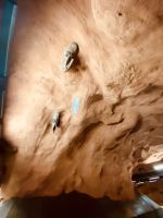 Göta-Kanal Stockholm -  Kunst in der U-Bahn Station Rådhuset