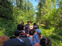 Schweden. Auf dem Remmalagen in Visingsö