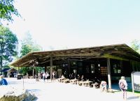 Göta Kanal Kreuzfahrt - Birka Besuch des Wikinger-Museums